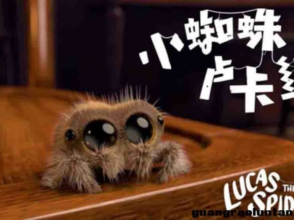 小蜘蛛卢卡斯 Lucas the Spider动画片全集英文版34全集 英文字幕高清720P 适合3-6岁儿童的英文动画片