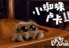 小蜘蛛卢卡斯 Lucas the Spider动画片全集英文版34全集 英文字幕高清720P 适合3-6岁儿童的英文动画片