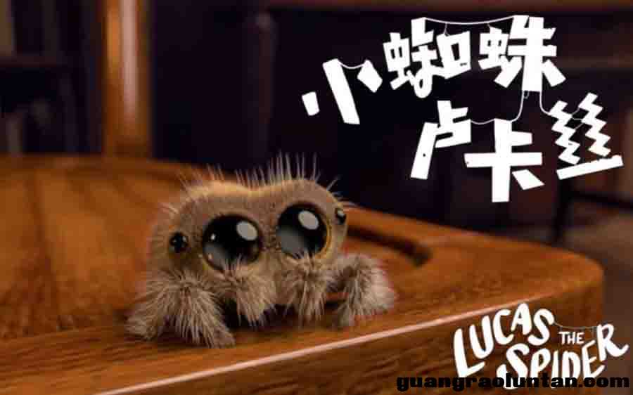 小蜘蛛卢卡斯 Lucas the Spider动画片全集英文版34全集 英文字幕高清720P 适合3-6岁儿童的英文动画片 ... ...