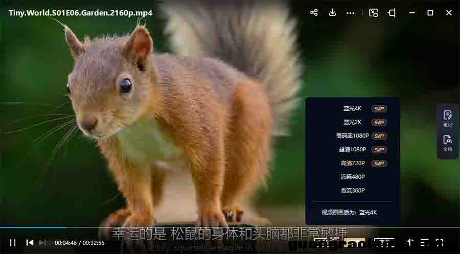 小小世界 Tiny World 英文版动画第1/2季全12集英语字幕高清1080P视频MKV百度网盘下载 适合6岁以上观看的英  ...
