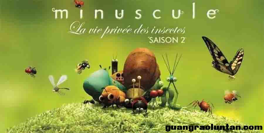 微观小世界 第一季至第四季 Minuscule Season 微观小世界 Minuscule 动画片第1/2季全177集无对白默剧高清10 ...