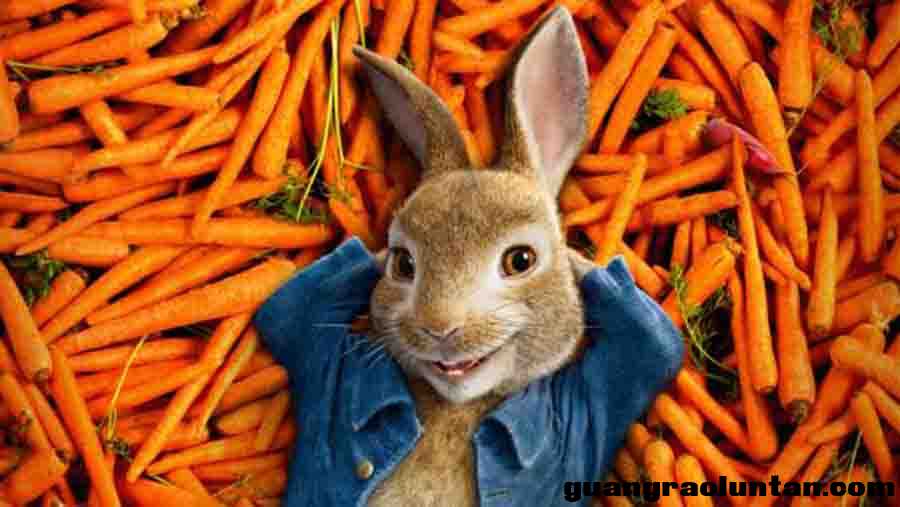 彼得兔/比得兔 Peter Rabbit 英文版动画第1/2季全100集英语字幕高清1080P视频MKV下载中小学教育智慧平台3-6 ...