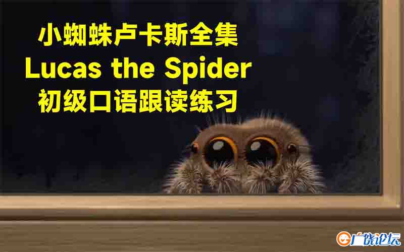 《小蜘蛛卢卡斯》 Lucas the Spider动画片全集英文版 英语启蒙动画系列短片24集 百度网盘下载中小学教育智 ...