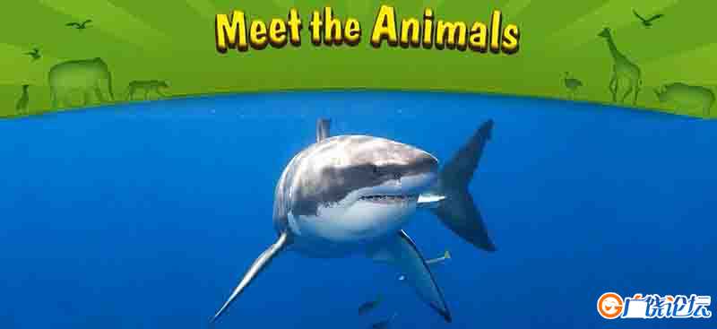 遇见动物 Meet the Animals 全62集 LittleFox1-9级大全套(内嵌字幕版)高清720P视频MP4格式/单词表/绘本/音  ...
