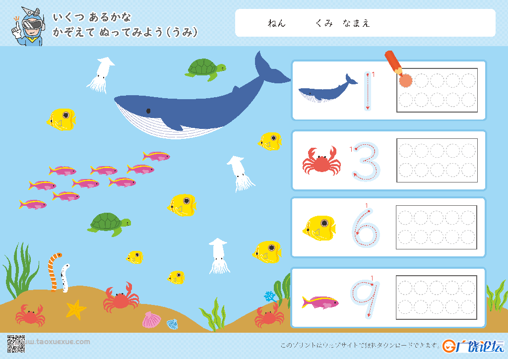 识数计数1-10数字的多少，数感的培养电子版PDF打印,百度网盘下载