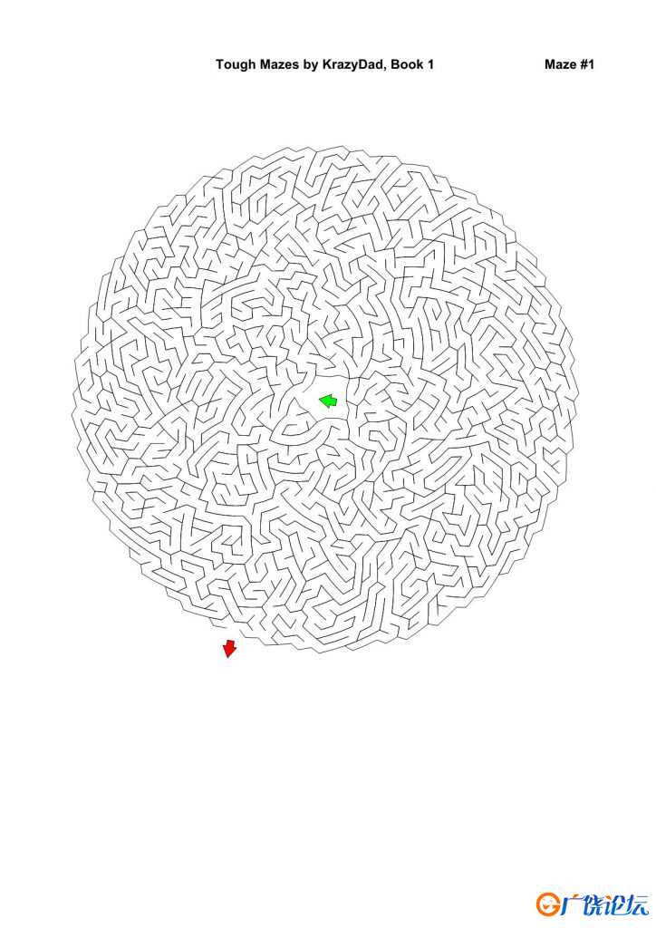 Tough Mazes (Ages 9-12+)，1000页PDF可打印 复杂迷宫 亲子游戏 家庭迷宫游戏 广饶论坛中小学教育智慧平台 ...