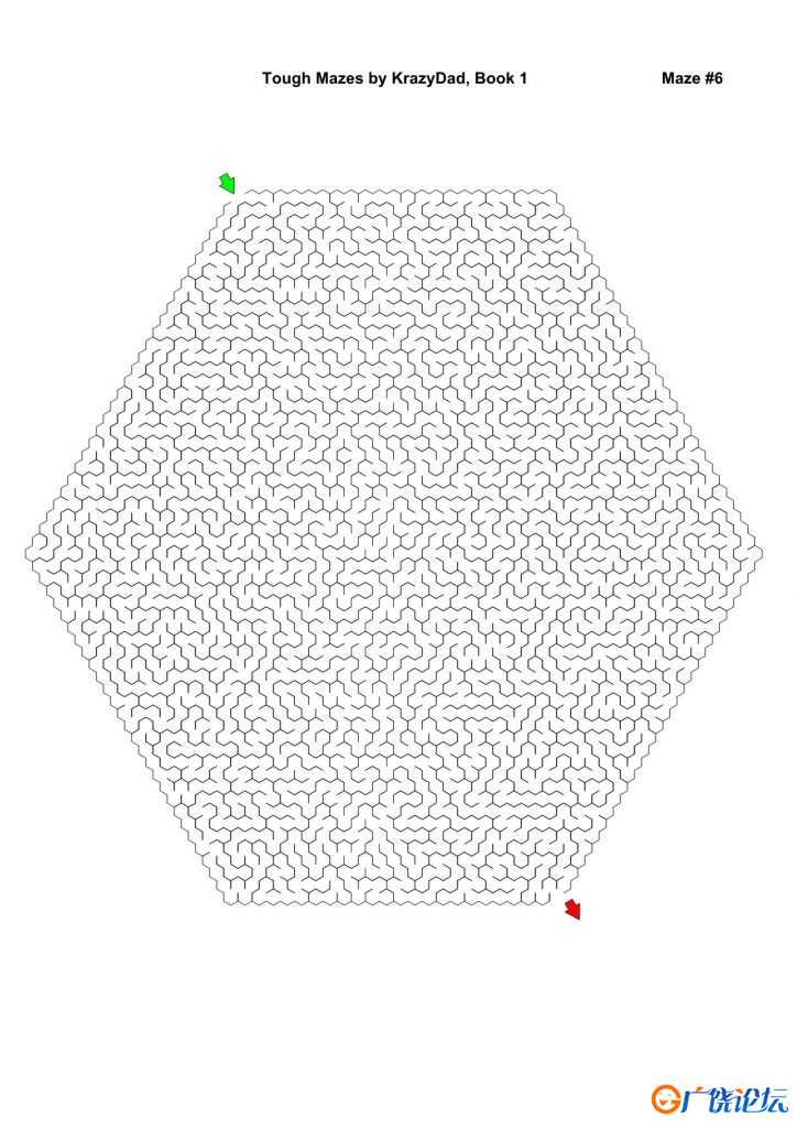 Tough Mazes (Ages 9-12+)，1000页PDF可打印 复杂迷宫 亲子游戏 家庭迷宫游戏 广饶论坛中小学教育智慧平台 ...