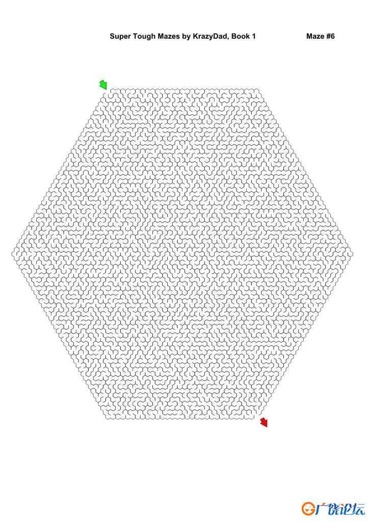 Super Tough Mazes (For robots of all ages)，1000页PDF可打印 简单迷宫 亲子游戏 广饶论坛中小学教育智慧 ...