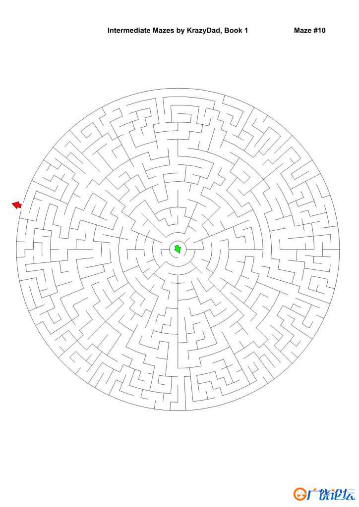 Super Tough Mazes (For robots of all ages)，1000页PDFIntermediate Mazes (Ages 6-8)，1000页PDF中小学 ...