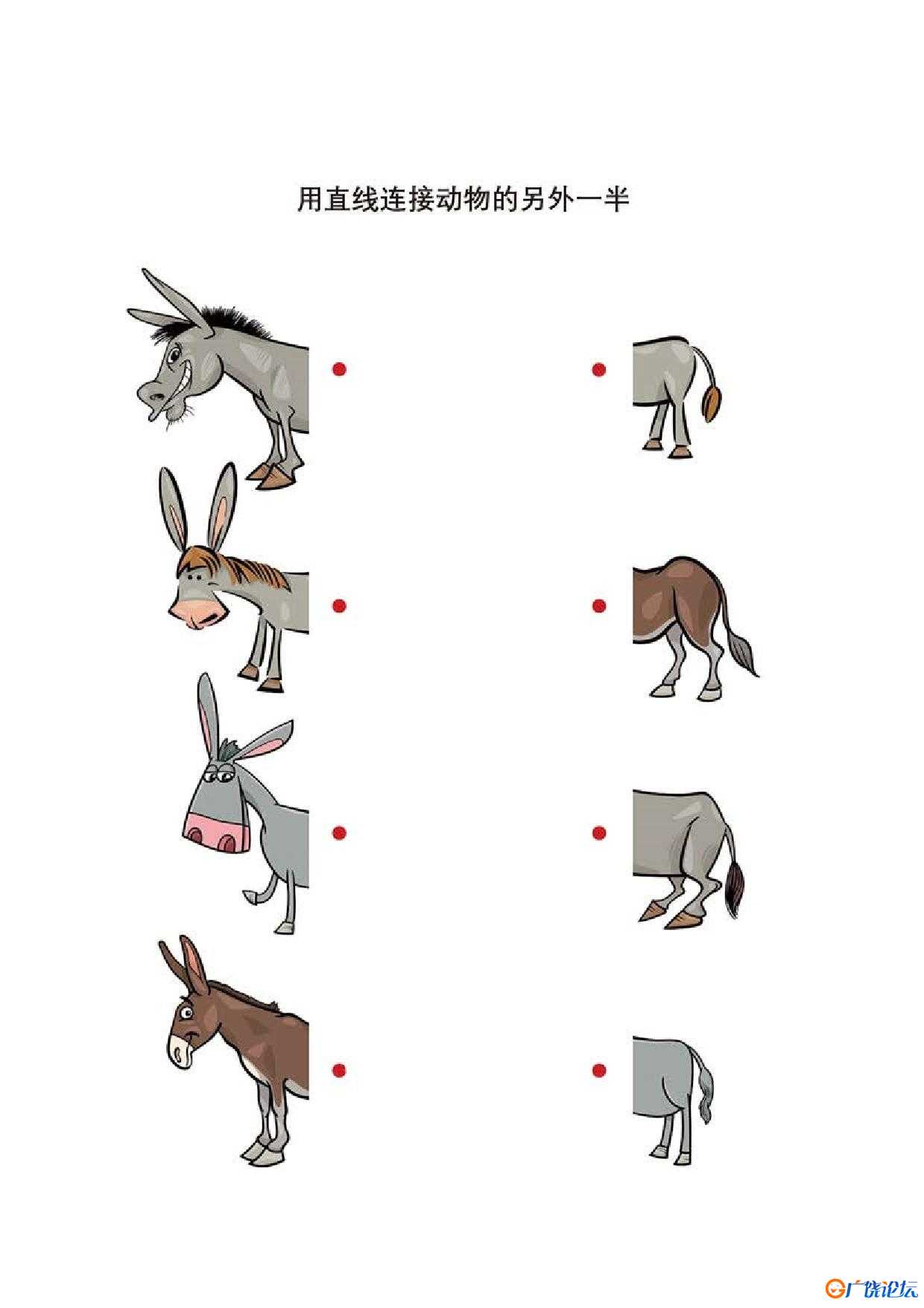 用直线连接动物的另外一半，10页PDF可打印 思维逻辑 亲子游戏 广饶论坛中小学教育智慧平台 ...