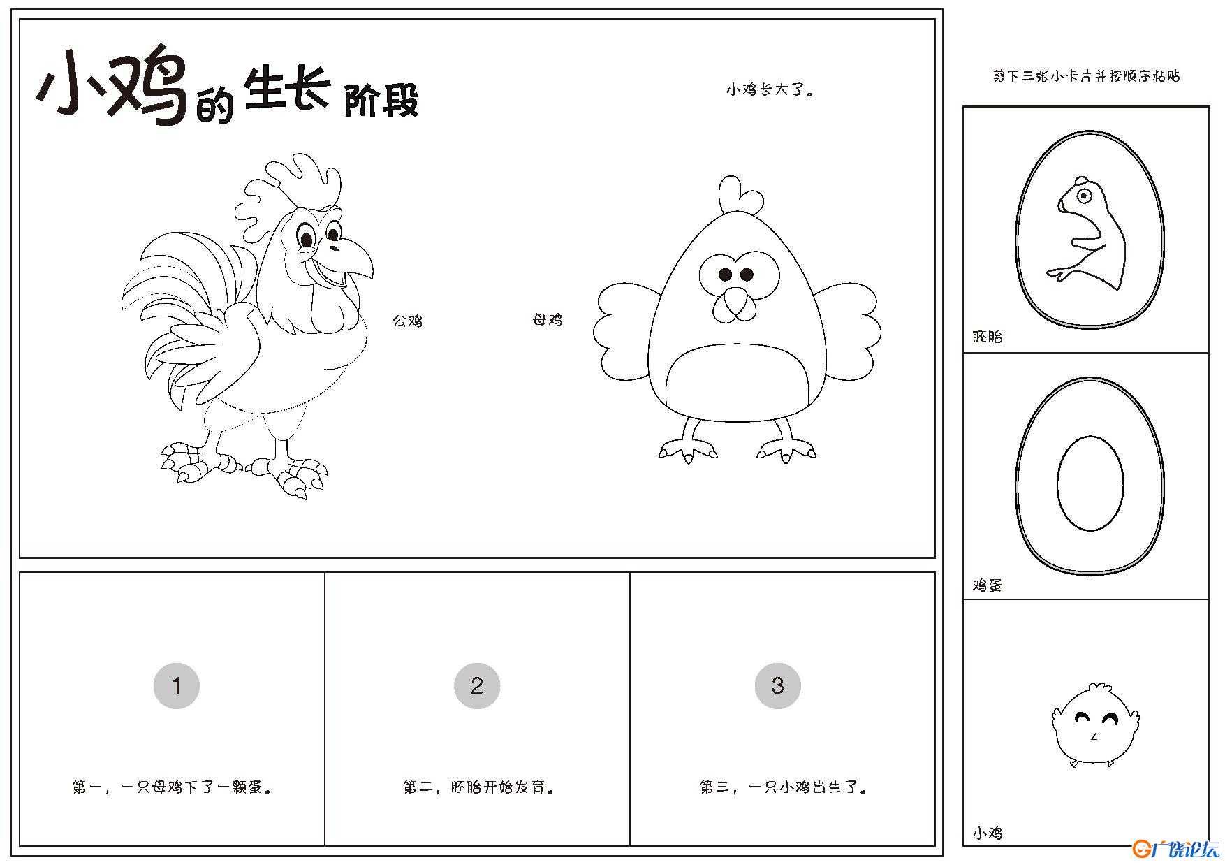 排序小书，26页pdf电子版可打印 思维逻辑 亲子游戏 广饶论坛中小学教育智慧平台 ...