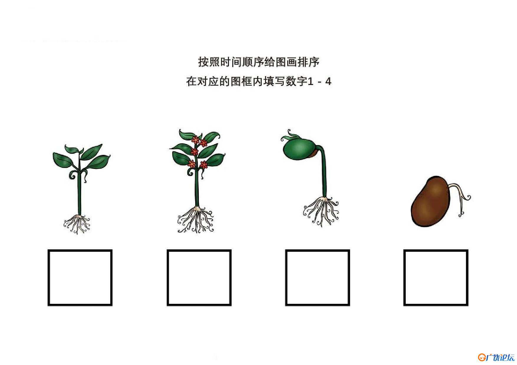 按照时间顺序给图画排序，8页PDF可打印 思维逻辑 亲子游戏 广饶论坛中小学教育智慧平台 ...