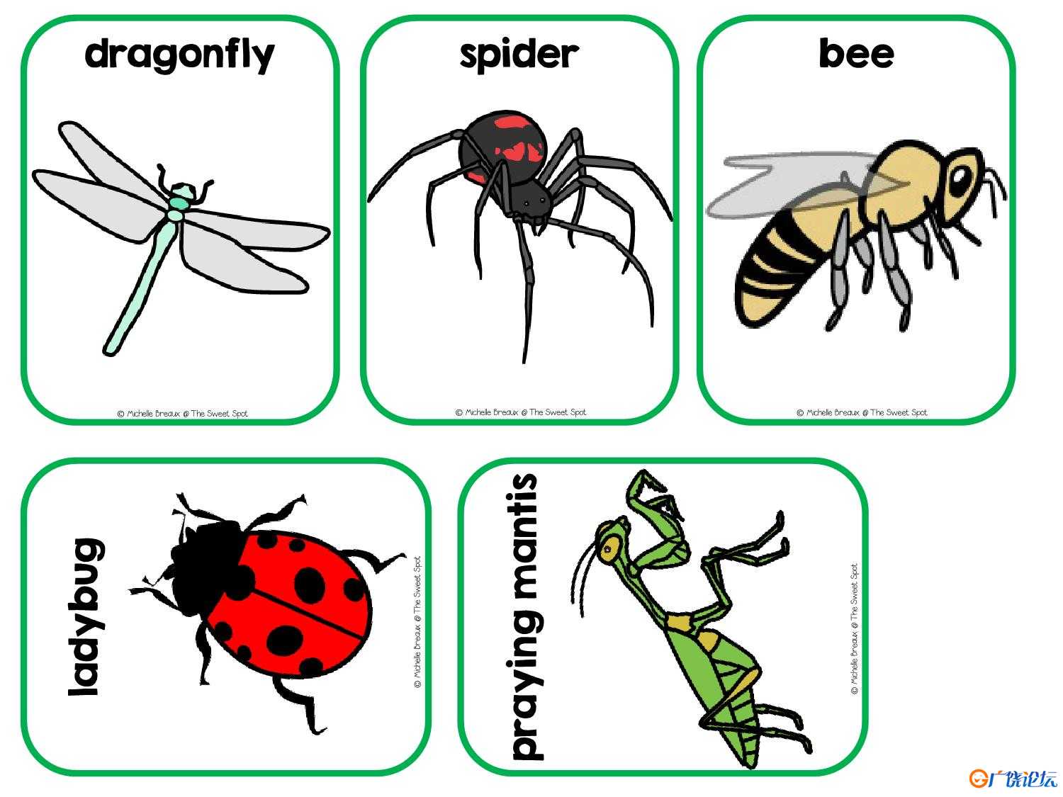 LadybugLadybugWhatDoYouSeeAdaptedInteractiveBook 15页可打印PDF亲子安静书游戏教材 英语启蒙读物 英文安 ...
