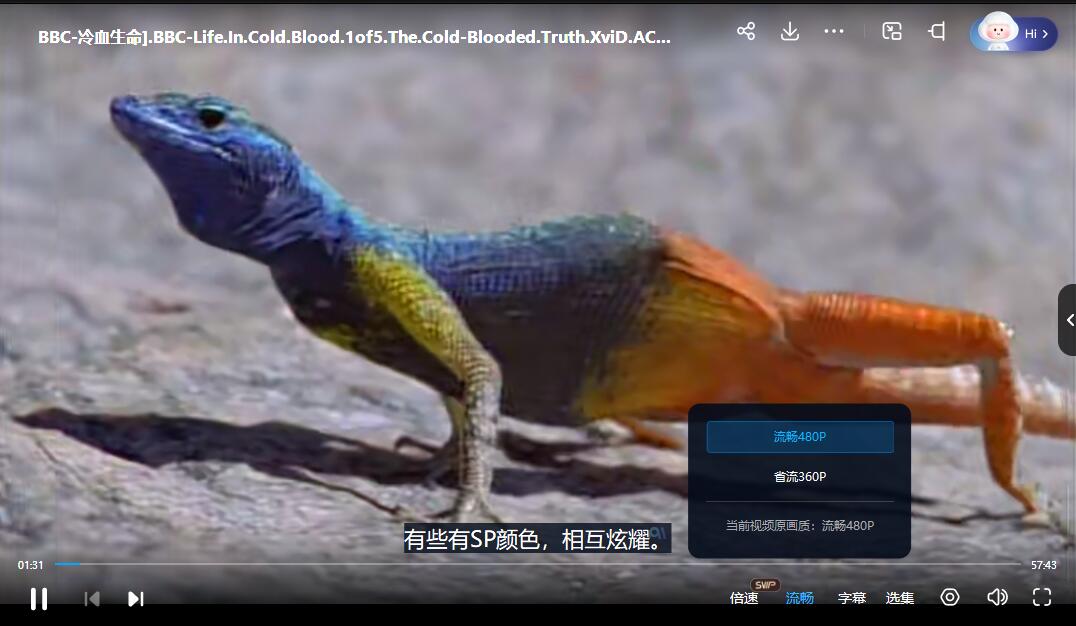 QQ截图20240307191705.jpg