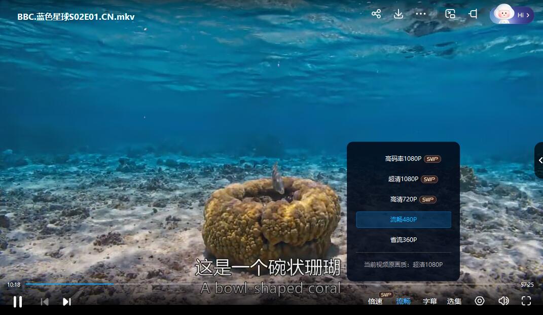 QQ截图20240307191705.jpg