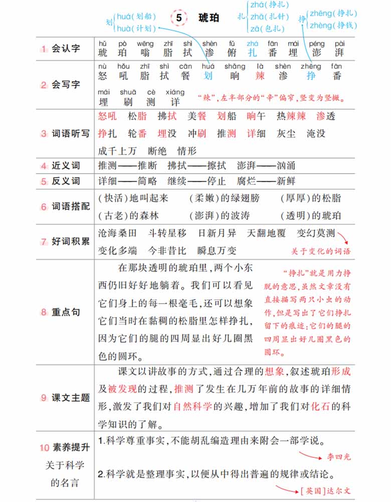 4下语文状元语文笔记（背记清单）-副本_03 副本.jpg