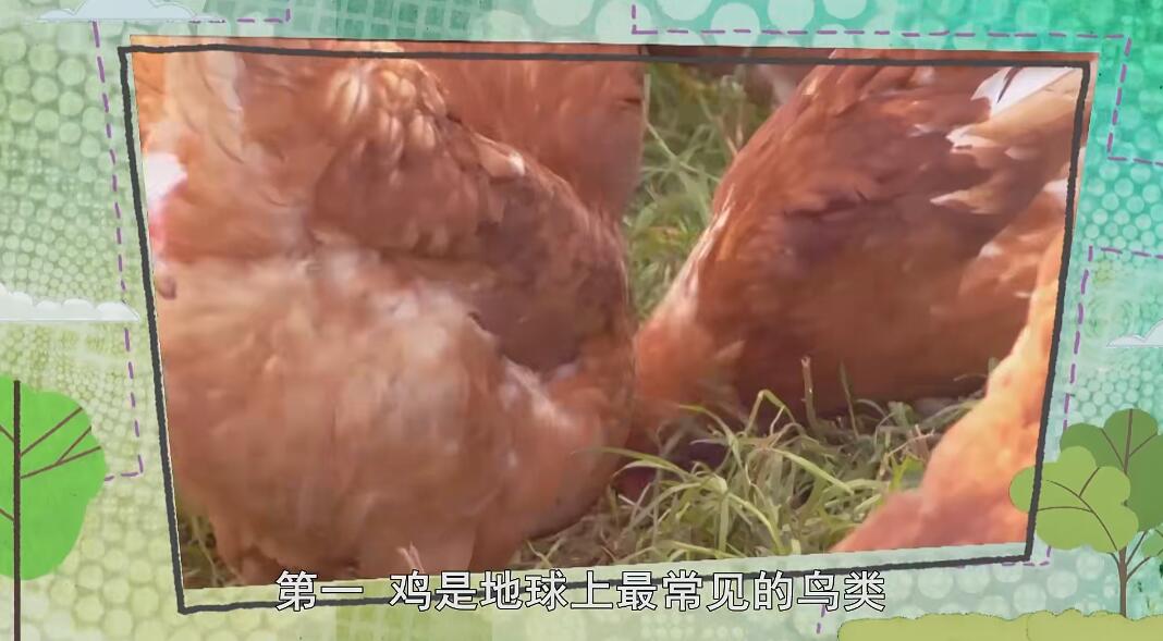 QQ截图20240607193430.jpg
