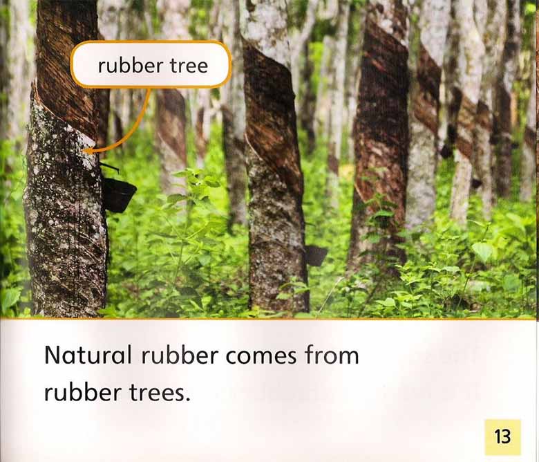 Rubber_13 副本.jpg