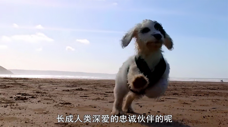 QQ20250202-112446.png