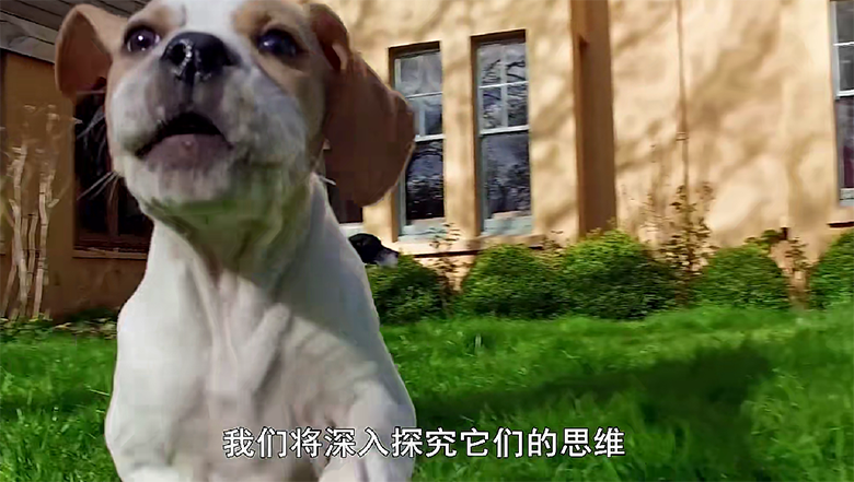 QQ20250202-120753.png