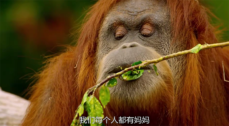 QQ20250202-121533.png