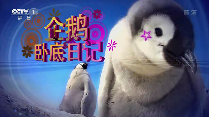 QQ20250207-214749.png