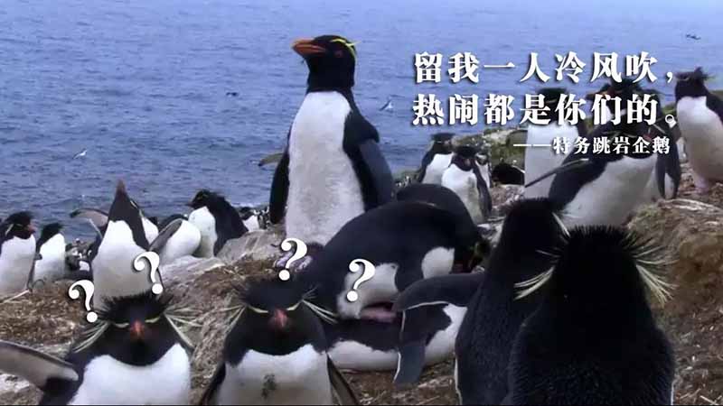u=594040655,963155852&fm=253&gp=0.jpg