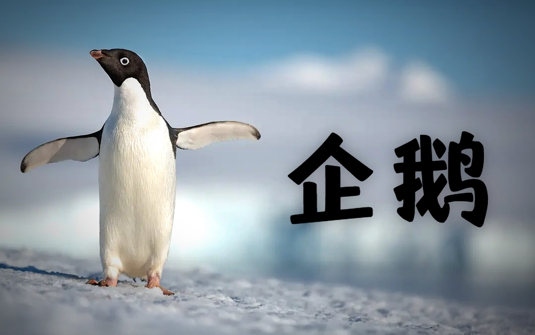 t012475d5cbbd42bf00.png