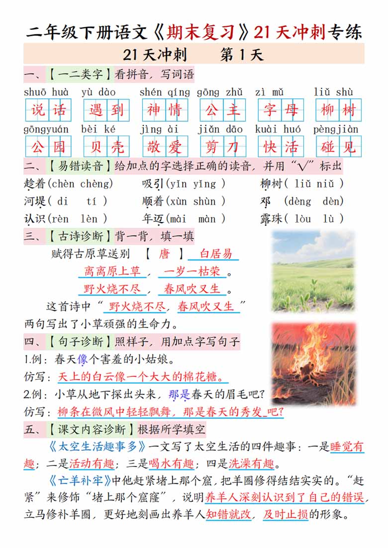 二年级下册语文期末复习21天冲刺专练(空白 答案)-副本_00 副本.jpg