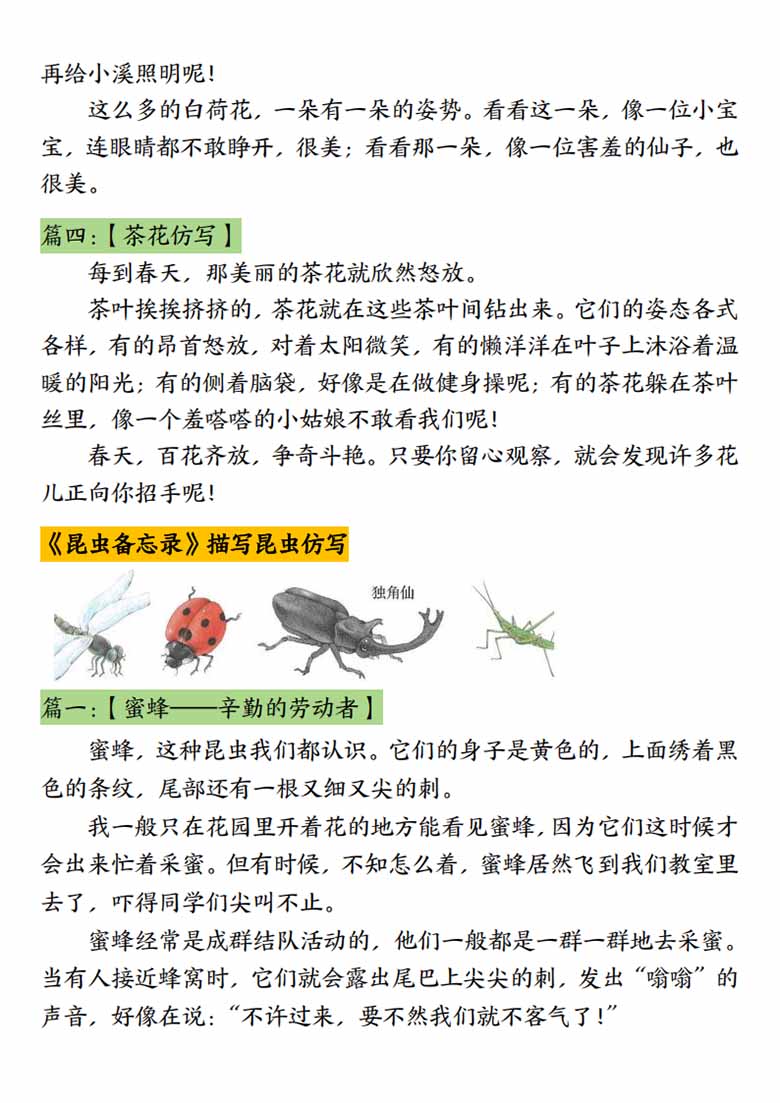 三年级下册语文常考课内重点仿写-副本_02 副本.jpg