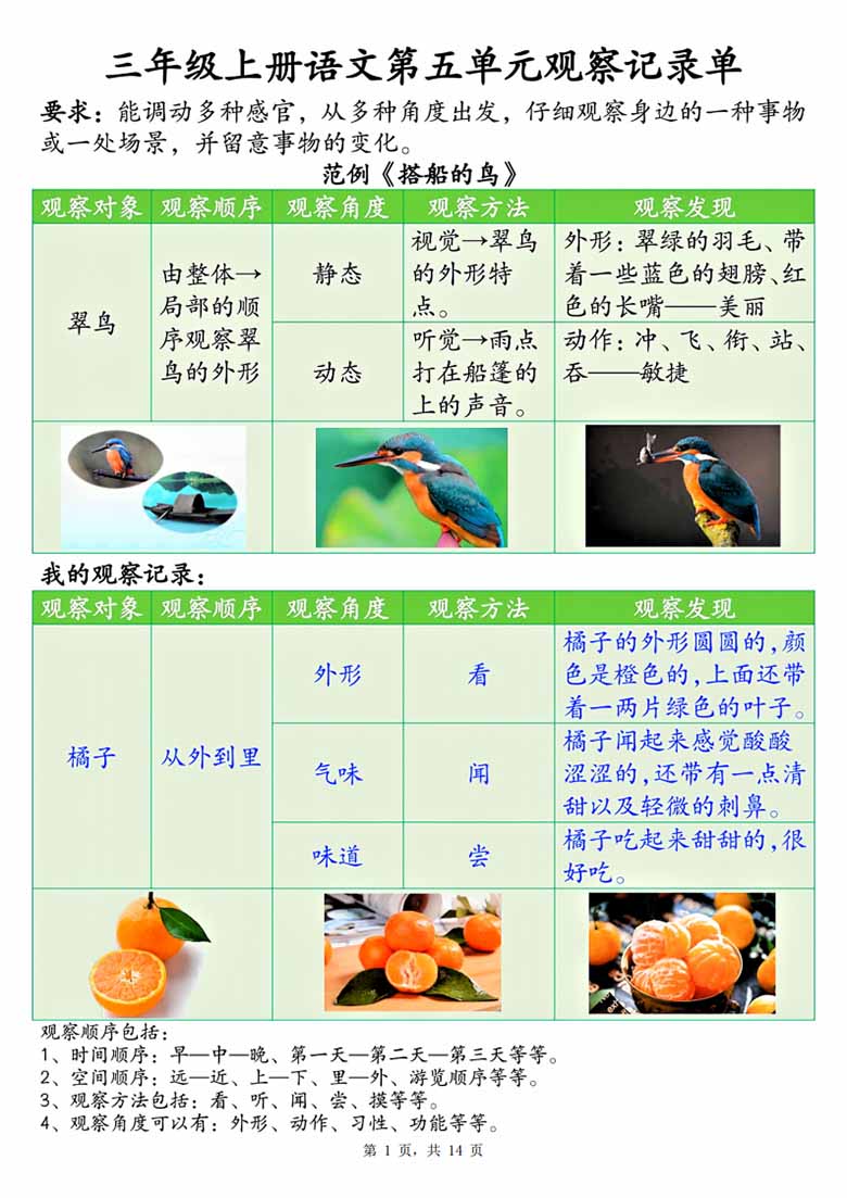 广饶论坛三年级上册语文第五单元观察记录单（空白版+答案版），14页PDF电子版学习资料 ...