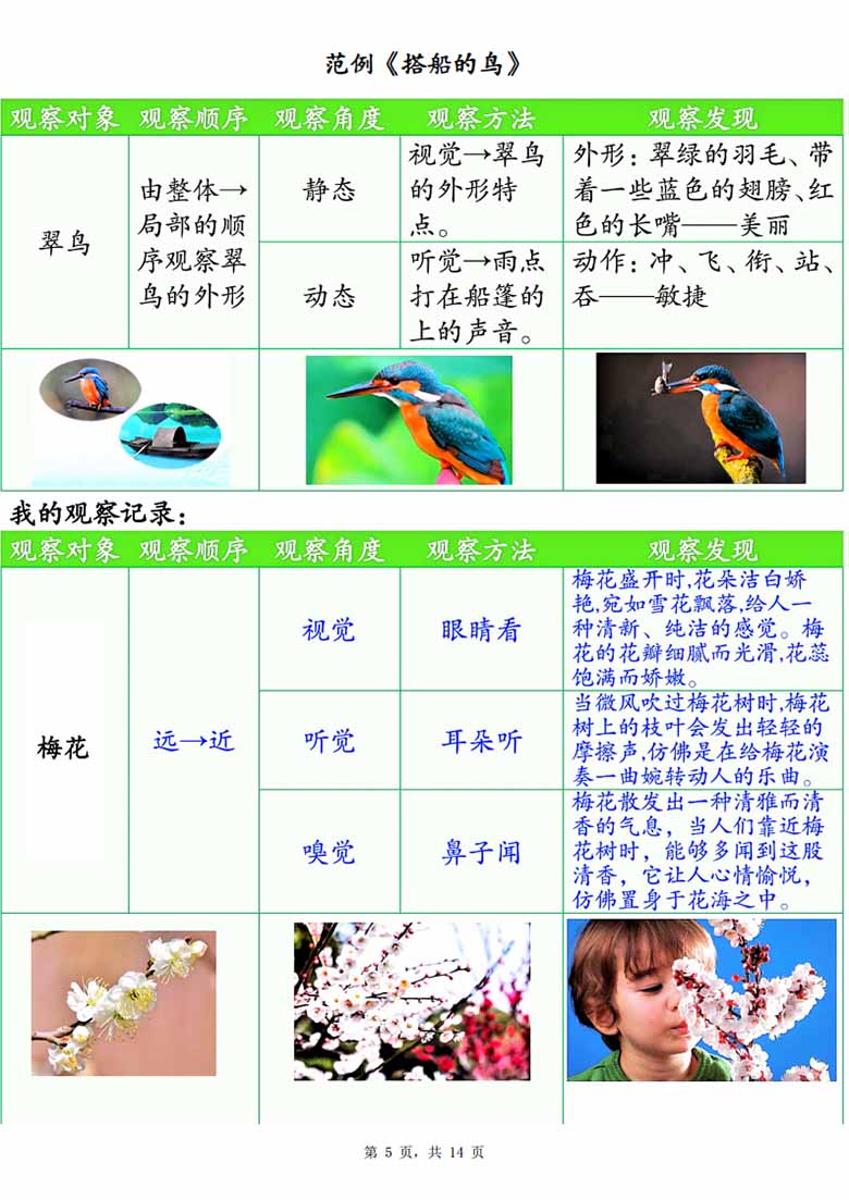 广饶论坛三年级上册语文第五单元观察记录单（空白版+答案版），14页PDF电子版学习资料 ...