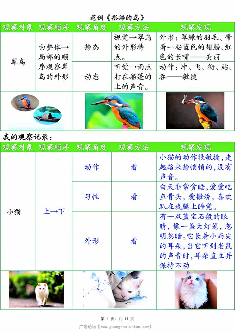 广饶论坛三年级上册语文第五单元观察记录单（空白版+答案版），14页PDF电子版学习资料 ...