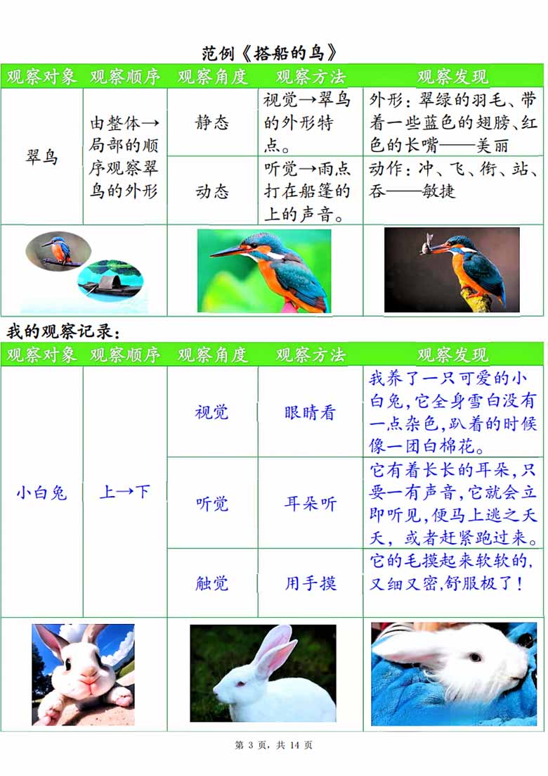 广饶论坛三年级上册语文第五单元观察记录单（空白版+答案版），14页PDF电子版学习资料 ...