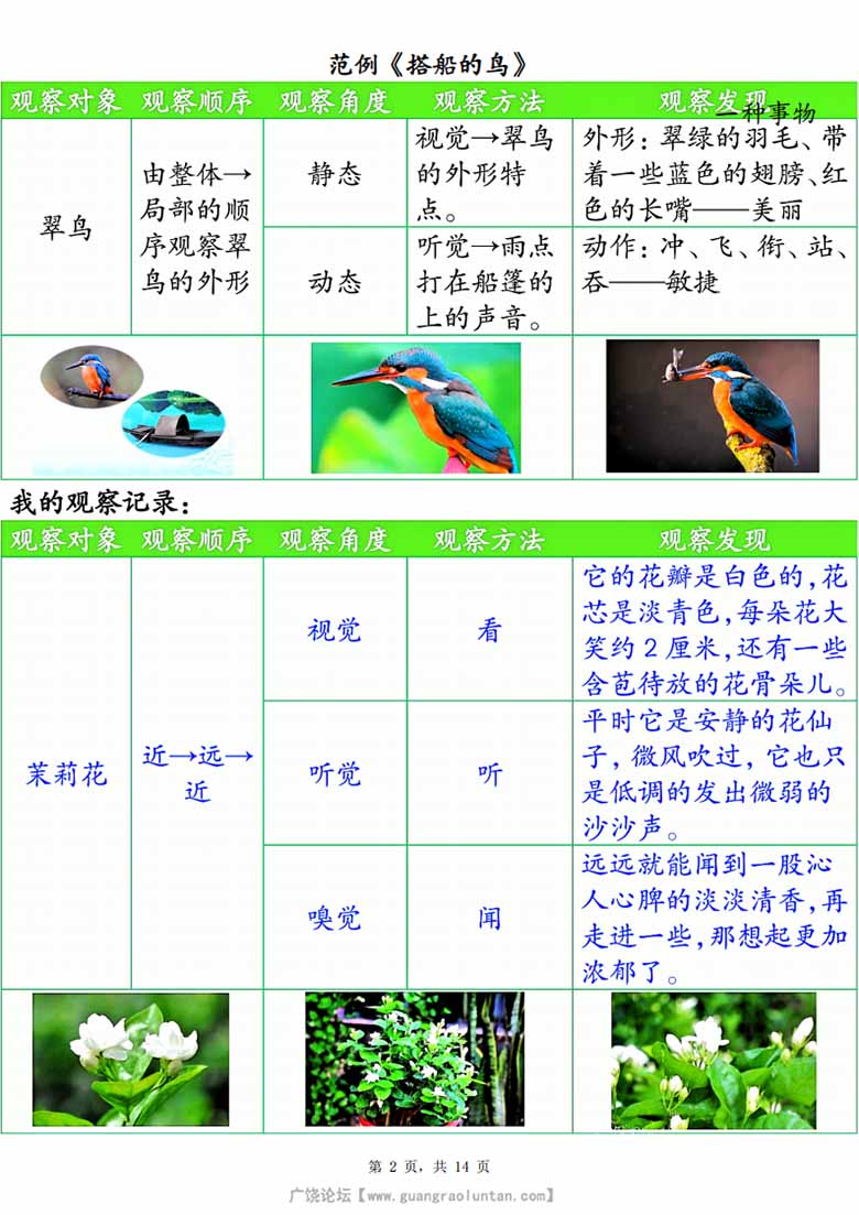 广饶论坛三年级上册语文第五单元观察记录单（空白版+答案版），14页PDF电子版学习资料 ...