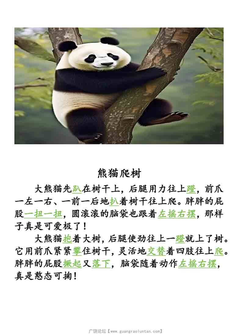 三年级上册语文《搭船的鸟》小练笔范文+写作单，10页PDF电子版