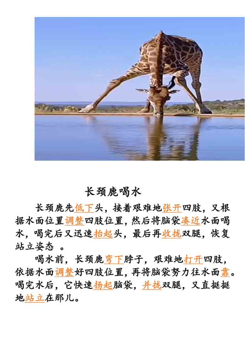 三年级上册语文《搭船的鸟》小练笔范文+写作单，10页PDF电子版