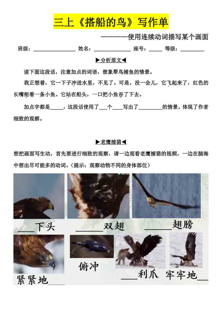 三年级上册语文《搭船的鸟》小练笔范文+写作单，10页PDF电子版