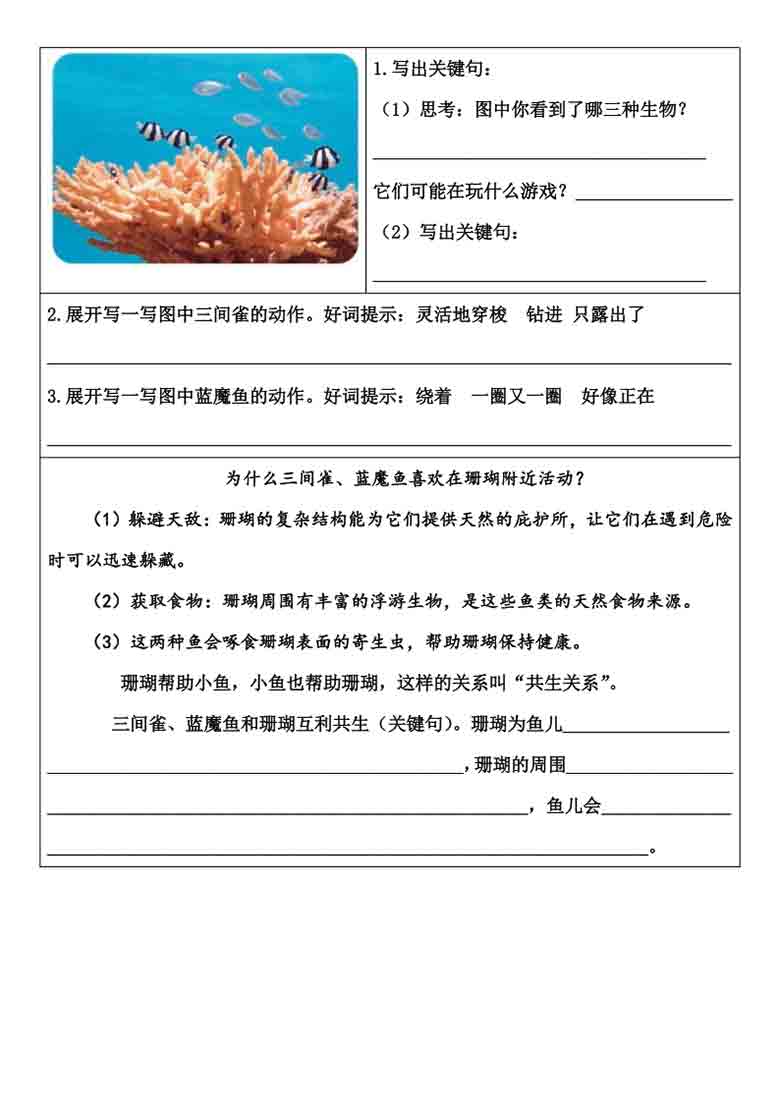 三年级上册语文《富饶的西沙群岛》小练笔范文，8页PDF电子版