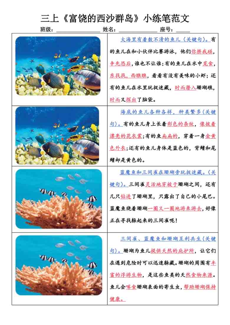 三年级上册语文《富饶的西沙群岛》小练笔范文，8页PDF电子版