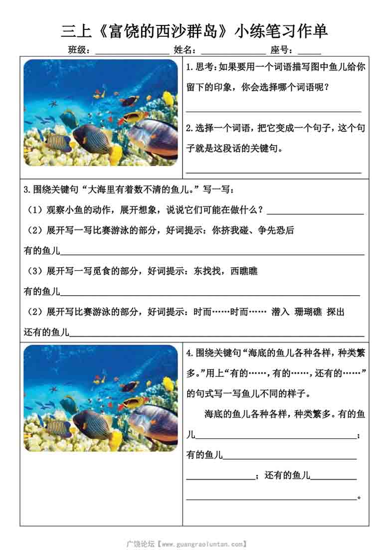三年级上册语文《富饶的西沙群岛》小练笔范文，8页PDF电子版