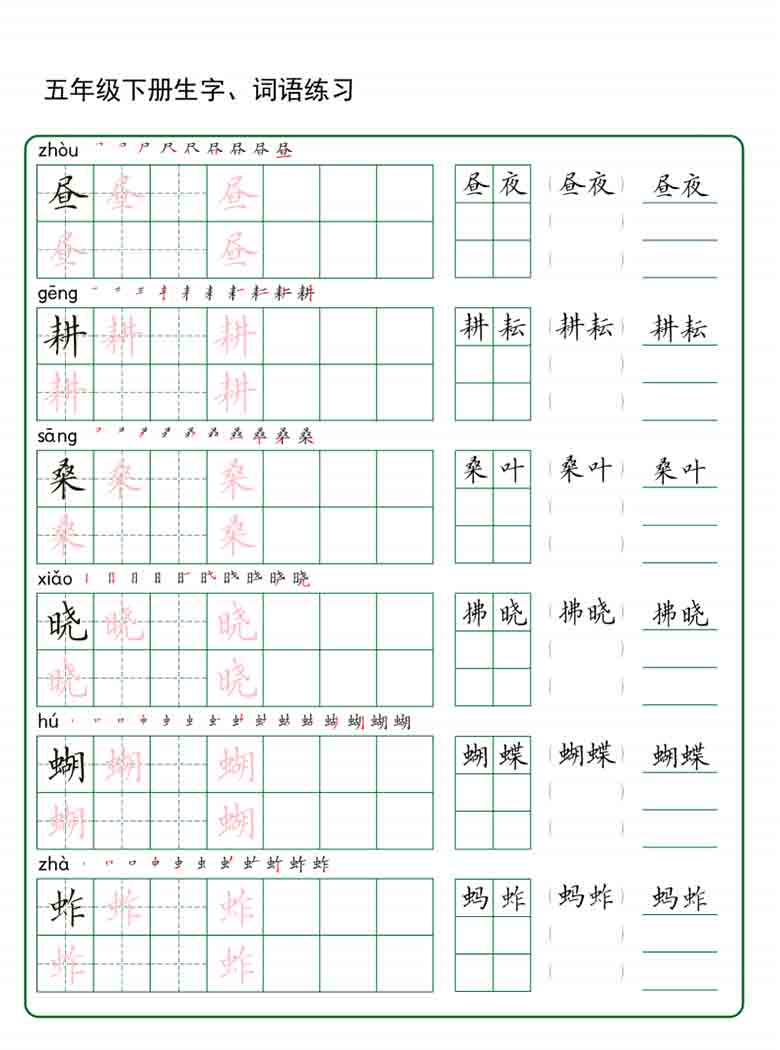 五年级下册语文生字词语练字，30页PDF电子版