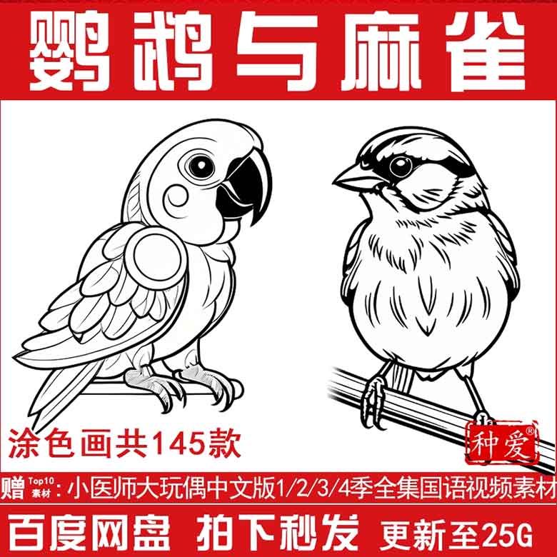 鹦鹉麻雀简笔画填色线稿电子版幼儿童绘画临摹卡通小动物黑白涂色