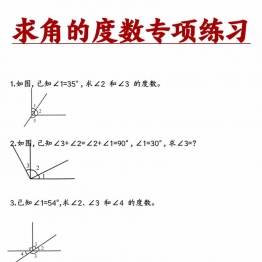 求角的度数专项练习，带答案解析14页PDF电子版学习资料