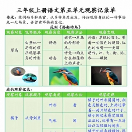 三年级上册语文第五单元观察记录单（空白版+答案版），14页PDF电子版学习资料