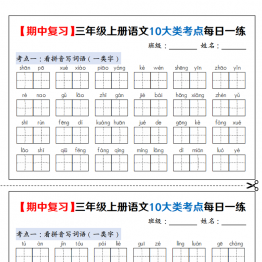 三年级上册语文期中复习10大类考点每日一练（空白版+答案版），24页PDF可打印学习资料