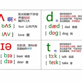 音标卡，英语音标卡片图片13页PDF电子版可打印学习资料