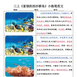 三年级上册语文《富饶的西沙群岛》小练笔范文，8页PDF电子版