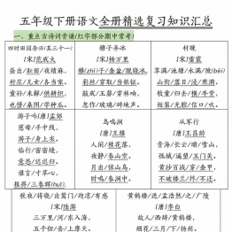 五年级下册语文全册精选复习知识汇总，26页PDF电子版学习资料