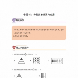 专题09：分数简单计算与应用-三年级数学专项提升（人教版），9页PDF电子版